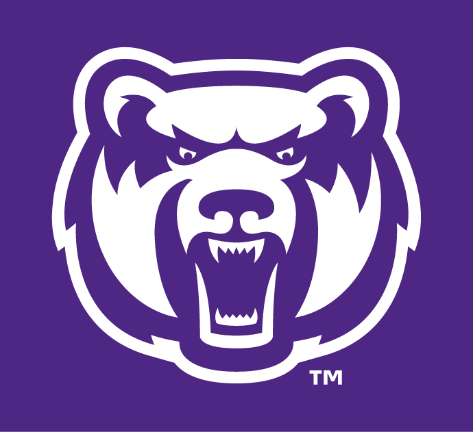 Central Arkansas Bears 2009-Pres Alternate Logo v13 diy iron on heat transfer